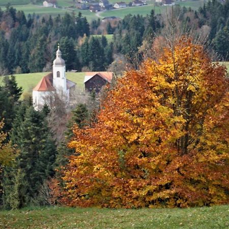 Ferien In Feld 109 Apartment Langenegg Екстериор снимка