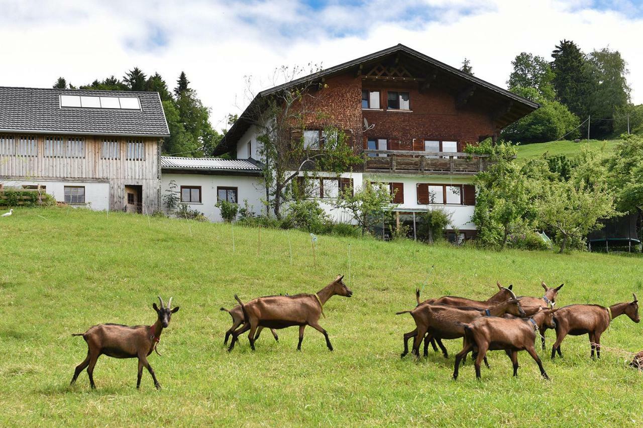Ferien In Feld 109 Apartment Langenegg Екстериор снимка