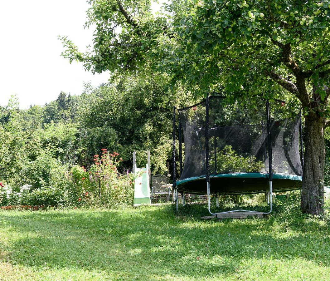Ferien In Feld 109 Apartment Langenegg Екстериор снимка